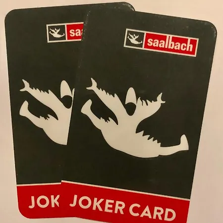 Apartment Saalbacher Perle 3 Jokercard Included Saalbach-Hinterglemm